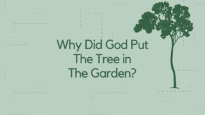 Why Did God Put The Tree in The Garden_