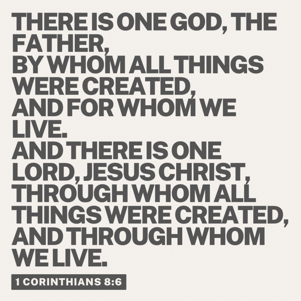 1 Corinthians 8 6