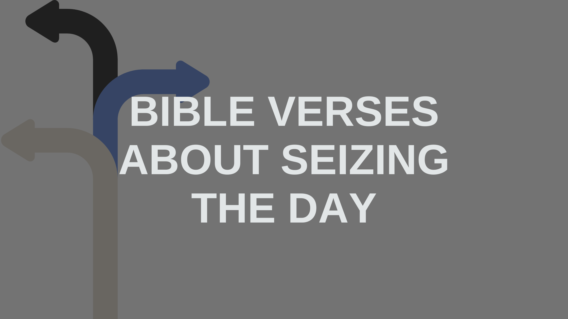Bible Verses About Seizing The Day